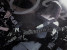 Plants: image 1 0f 4 thumb