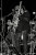 Plants: image 1 0f 4 thumb