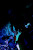 Plants: image 1 0f 4 thumb
